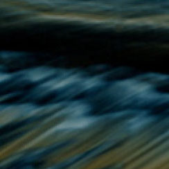 Click the image below to view a detail of the shell color